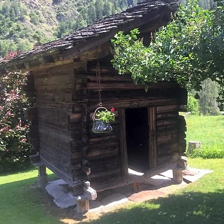 Bed & Breakfast The Cosy Isba - D Hotes - Val De Bagnes - Verbier Versegeres
